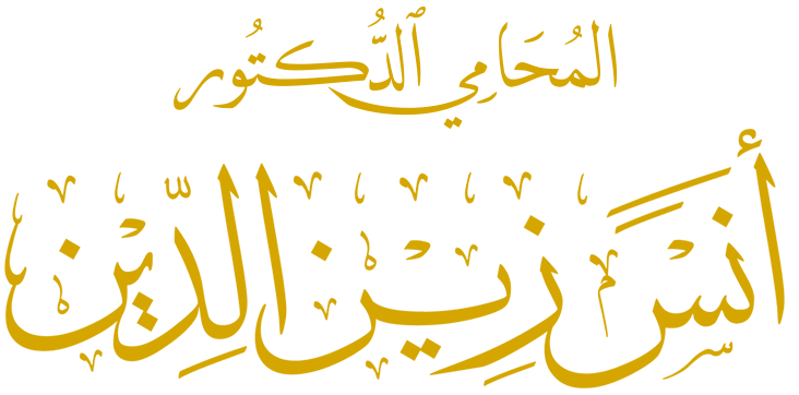القانوني أنس زين الدين | محامي عربي في تركيا اسطنبول